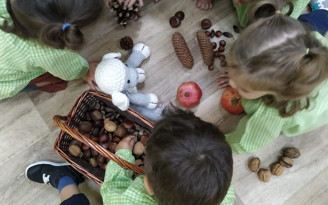 jugamos con el otoño cesta de frutos secos educacion infantil